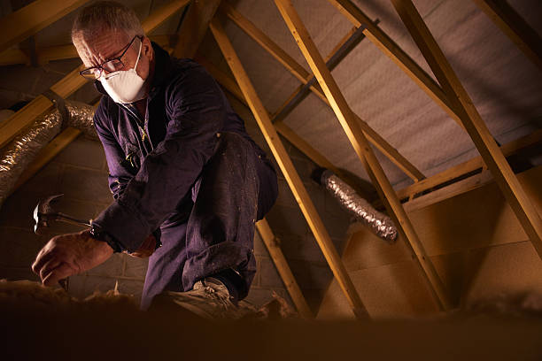 Best Types of Insulation in Fulton, IL
