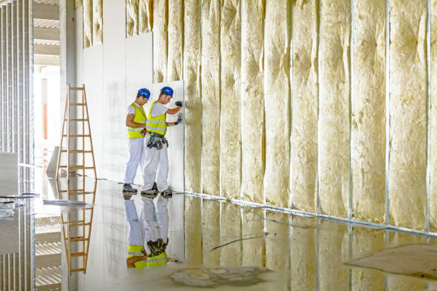 Professional Insulation Contractor in IL